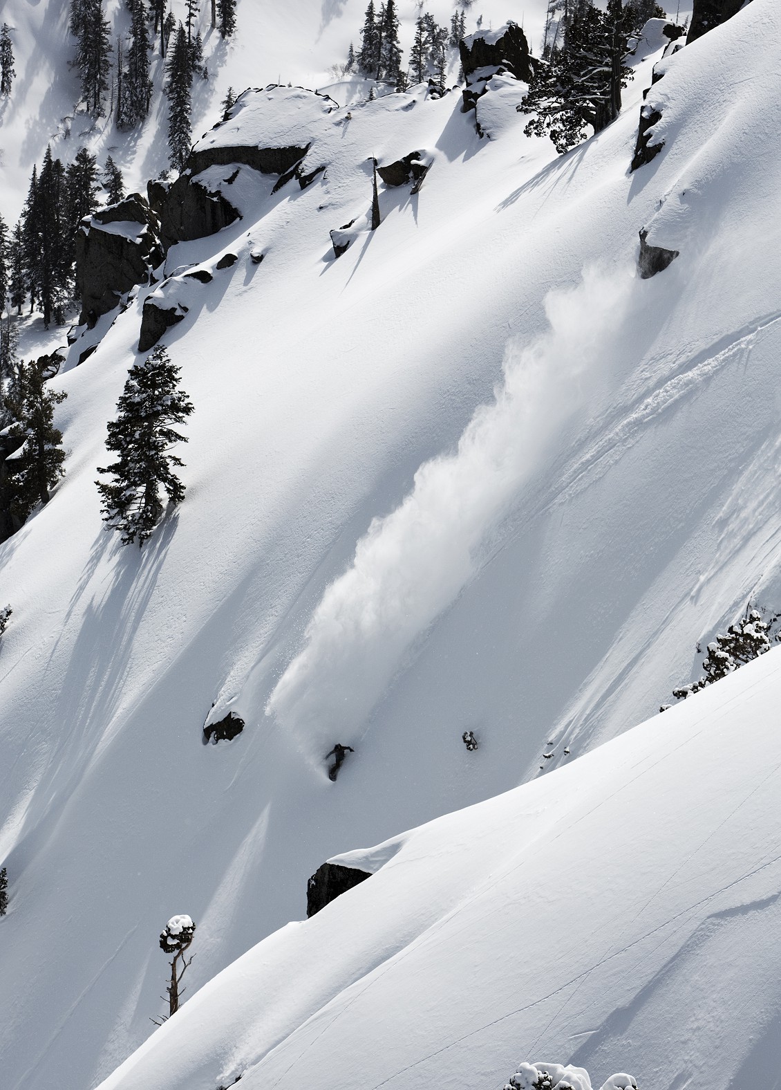 Snowboards Snowboards